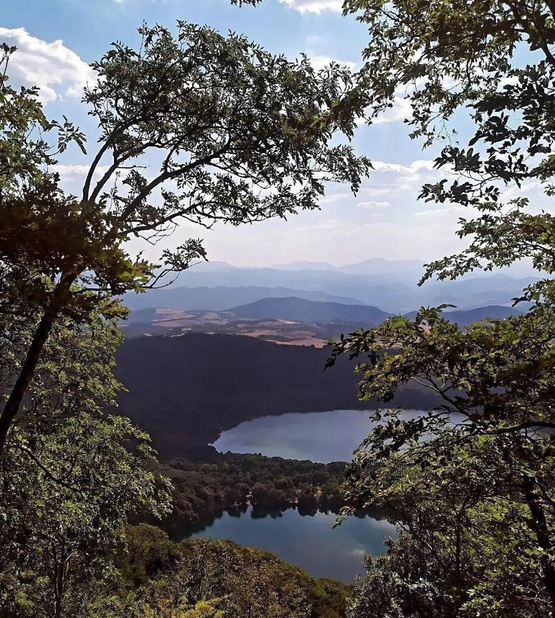 Villa Enrico มอนติคคิโอ ภายนอก รูปภาพ
